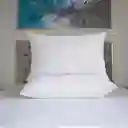 Set X 2 Almohadas Hoteleras Doble Funda Hogareto Blanco