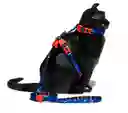 Zee.cat Atlanta Harness & Leash Talla Única