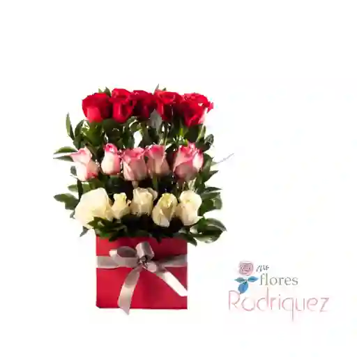 Rosas Dia De La Mujer