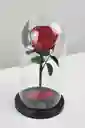 Rosa Preservada Premium Roja En Cúpula