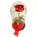 Rosa Eterna Roja
