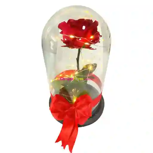Rosa Eterna Roja