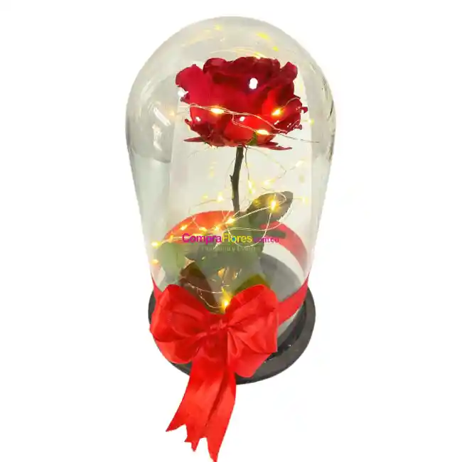 Rosa Eterna Roja