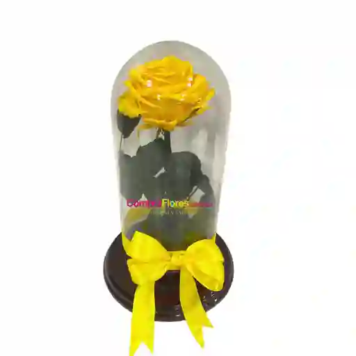 Rosa Preservada Amarilla