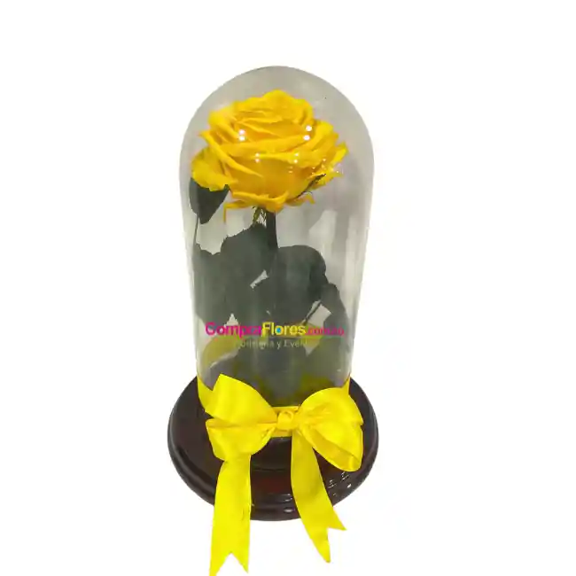 Rosa Preservada Amarilla