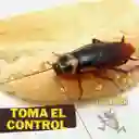 Matacucarachas Fumiroach