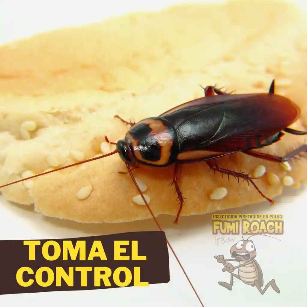 Matacucarachas Fumiroach