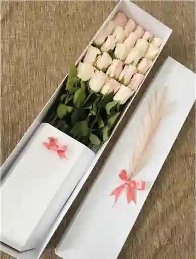 Caja Premium Blanca Por 24 Rosas Rosado Claro