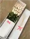 Caja Premium Blanca Por 16 Rosas Rosado Claro
