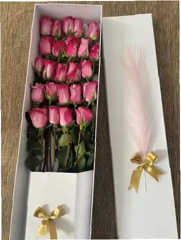 Caja Premium Blanca Por 24 Rosas Fucsia