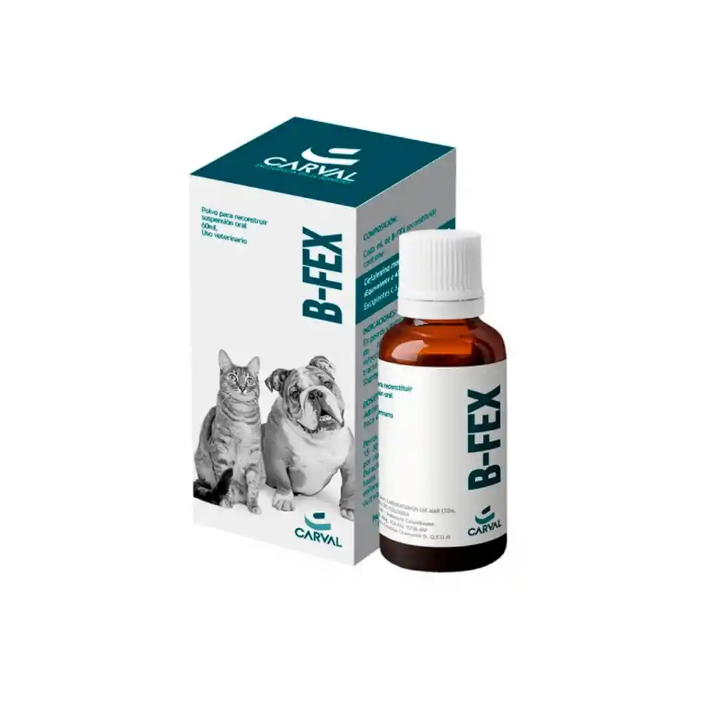  Antibiotico Perros Y Gatos B-Fex 60 Ml 