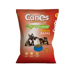 Canes Cachorros X 4 Kg