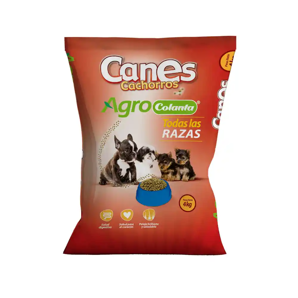 Canes Cachorros X 4 Kg