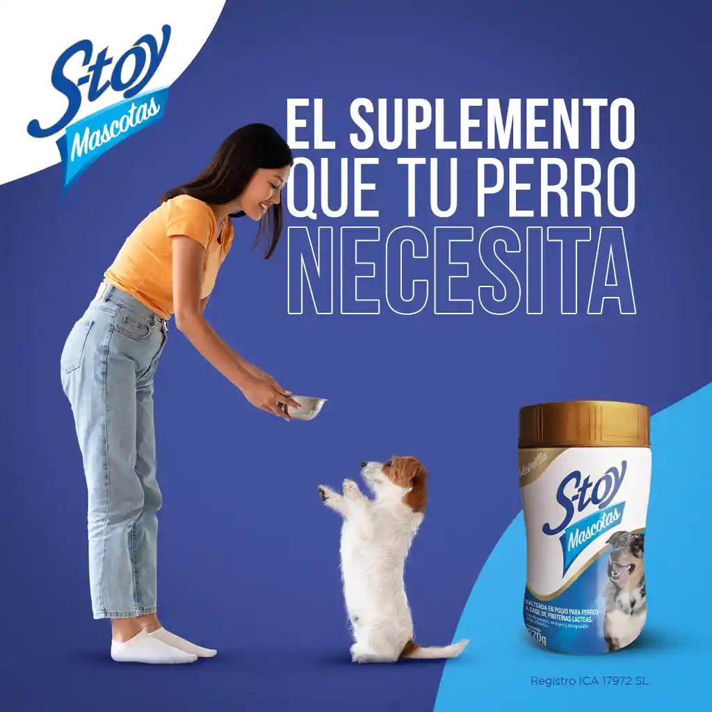 Stoy Mascotas Perros