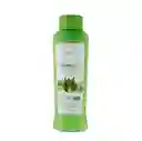  Shampoo Aloe Vera ANYELUZ 