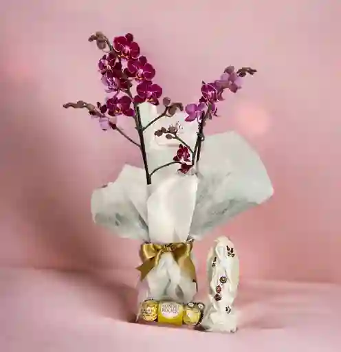 Kit Mujer Orquideas Multiflora #1