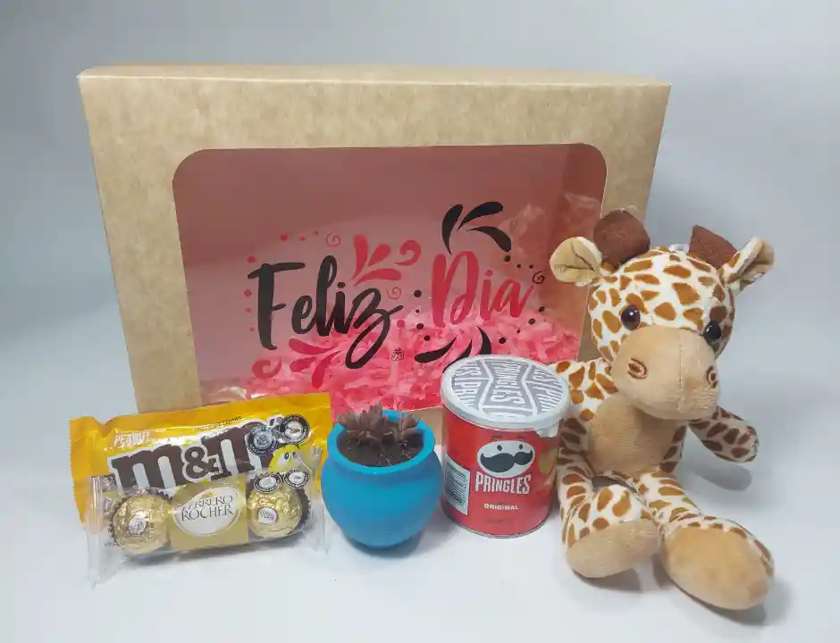 Obsequio Peluche Jirafa & Suculenta