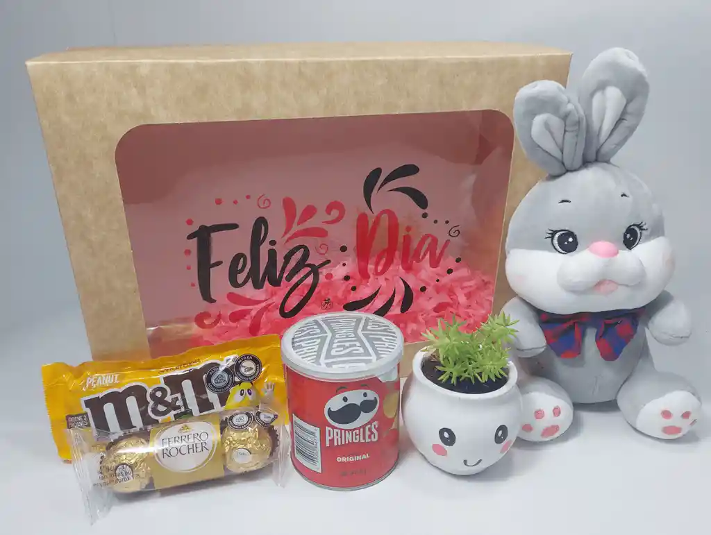Obsequio Peluche Conejo + Suculenta + Chocolates