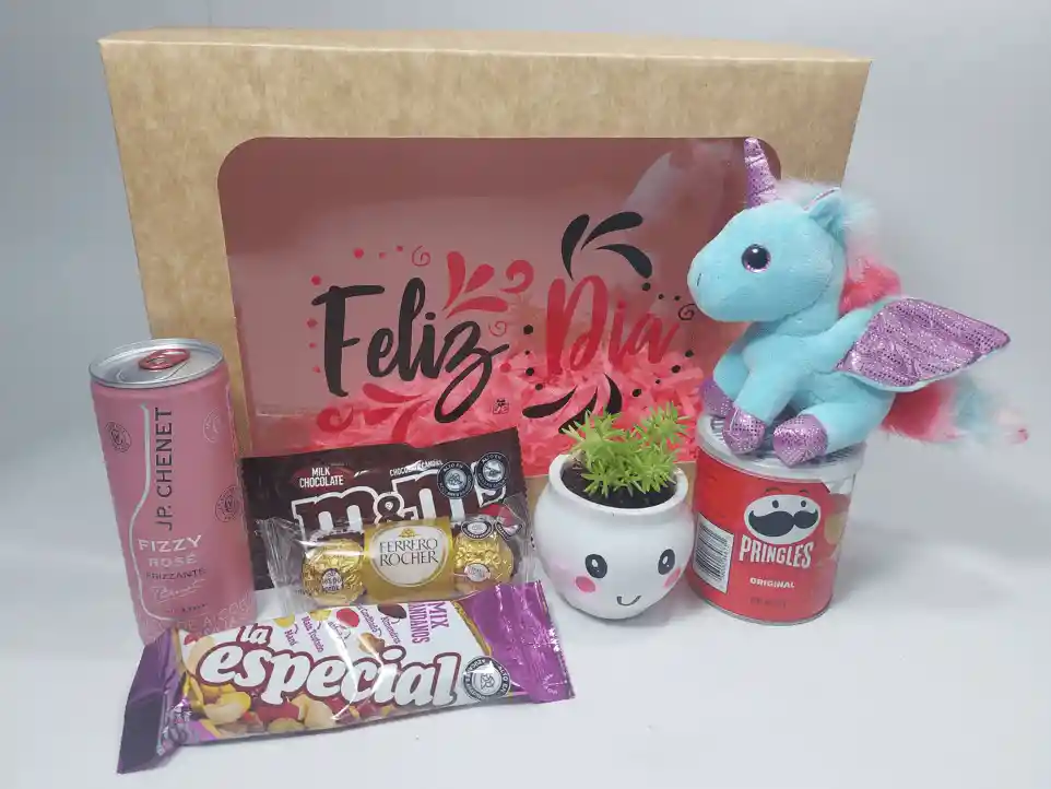 Obsequio Peluche Unicornio Con Alas + Suculenta + Jp Chenet