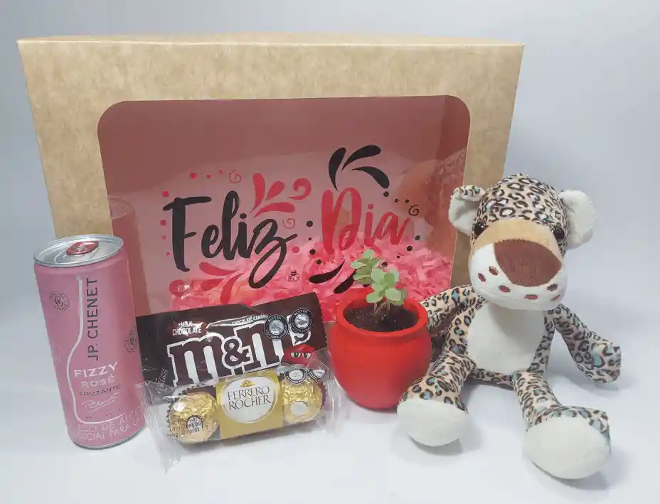 Obsequio Peluche Tigre & Jp Chenet Y Suculenta