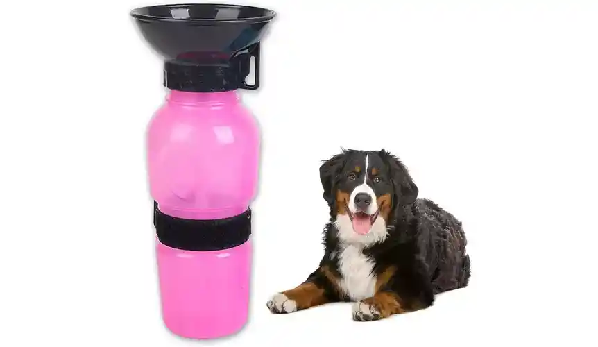 Bebedero Portatil Agua Perro Mascotas