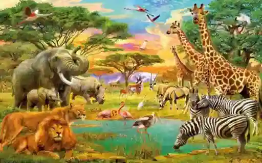 Rompecabezas Puzzle 500 Piezas Animales África Hecho En Colombia