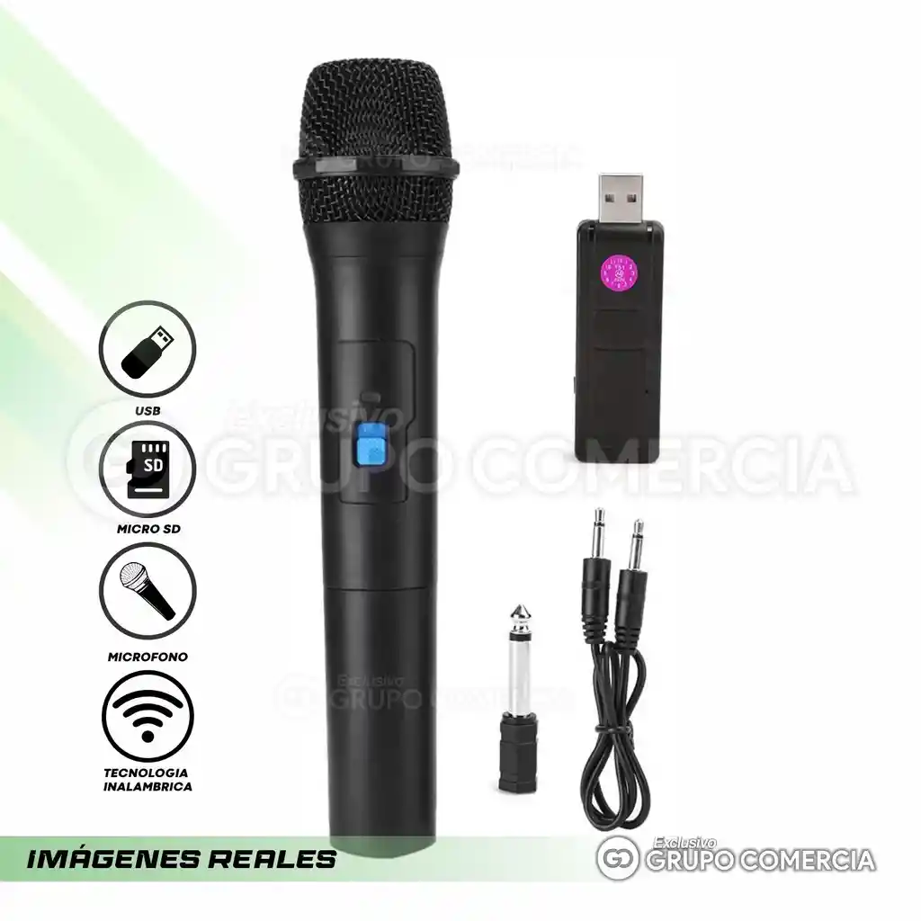 Microfono Inalambrico Receptor Usb Plug Profesional Karaoke