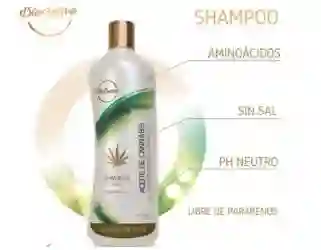  Shampoo Tradicional Aceite De Cannabis * 475 G  Bio Sativa  