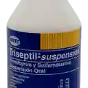 Triseptil Suspesion X 60 Ml