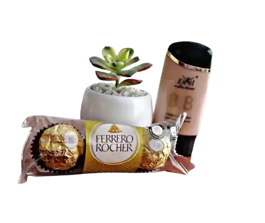 Planta Suculenta, Base Engol Y Ferrero X3
