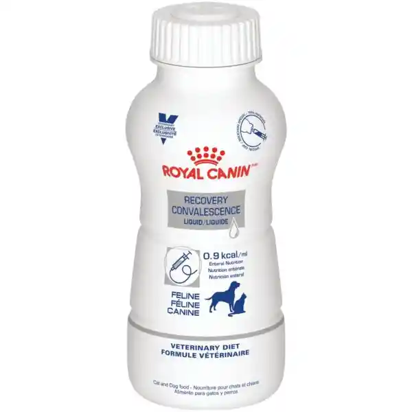 Royal Canin Recovery & Convalescence 237 Ml