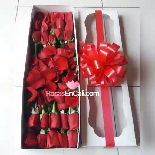 Caja *24 Rosas