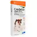 Antipulgas Credelio X 1 Tableta (5.5kg-11kg)