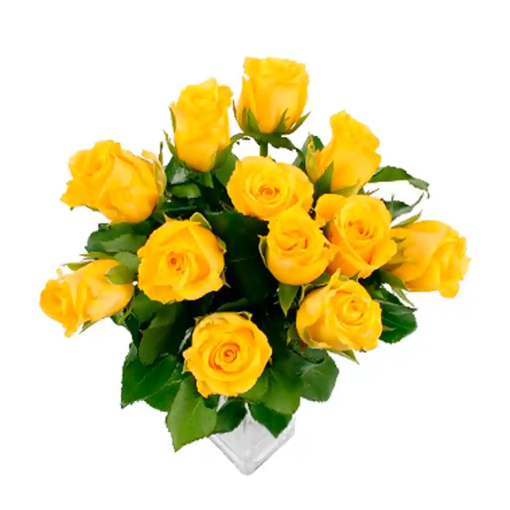 Docena De Rosas Amarillas
