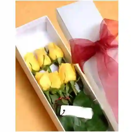 Caja X 6 Rosas Amarillas