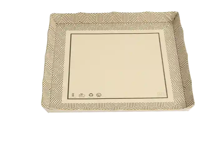 Plato Cuadradro 25 X 25 Cm – Paquete X 20 Unidades