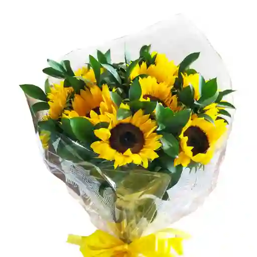 Ramillete En Girasoles Y Rusco