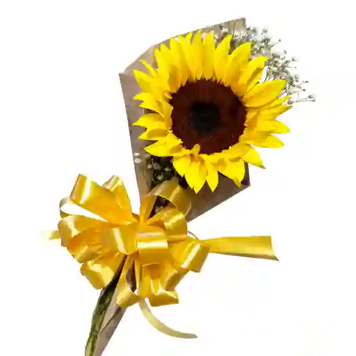 Ramillete Un Girasol Y Gypsophyla