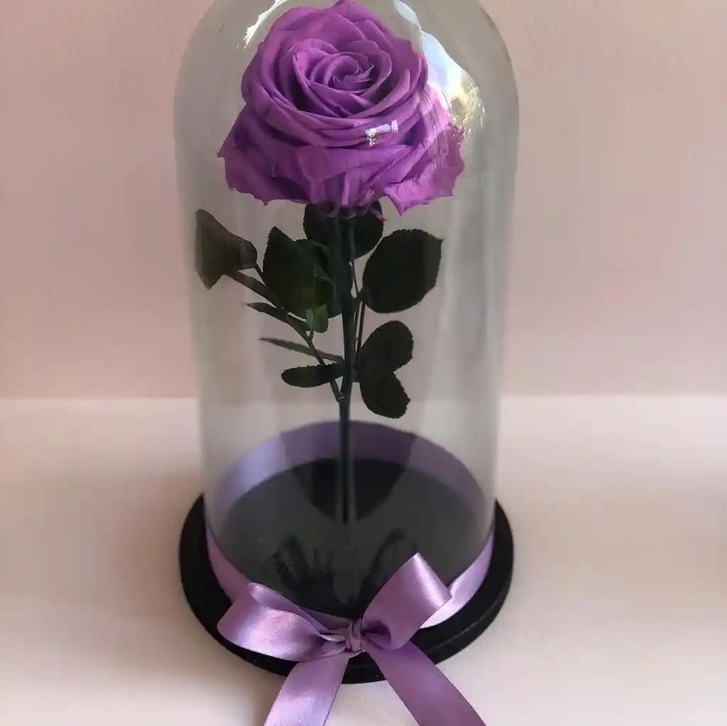 Rosa Preservada Morada