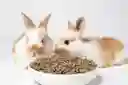 1kg Concentrado Br Conejos/hámster