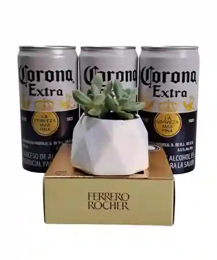 Combo Suculenta + Corona + Ferrero Rocher Día Del Padre