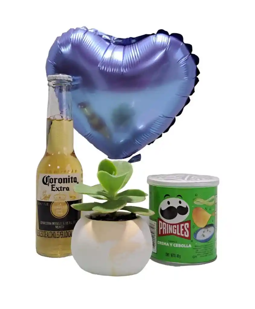 Combo Suculenta + Coronita + Pringles + Globo