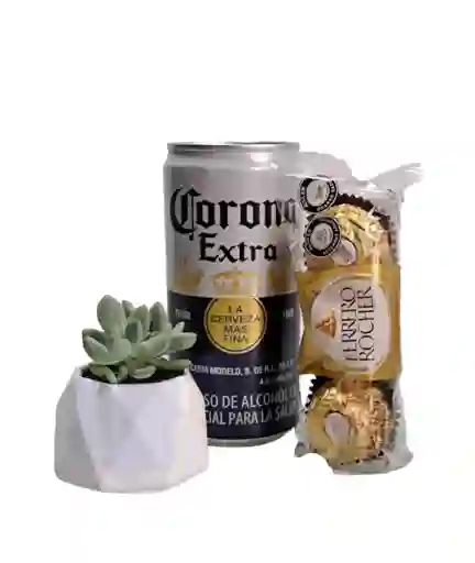 Combo Suculenta + Cerveza Corona + Ferrero Rocher Día Del Padre