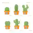 Imanes Para Notas (cactus)