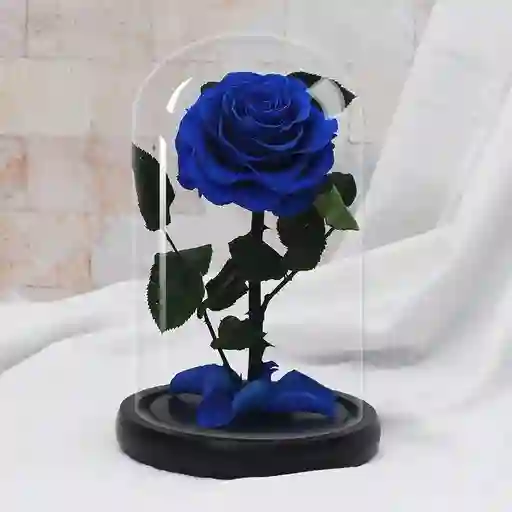 Rosa Preservada Azul En Cupula De Vidrio