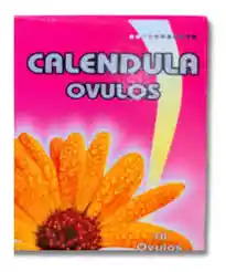 Ovulos De Calendula X 5 Und