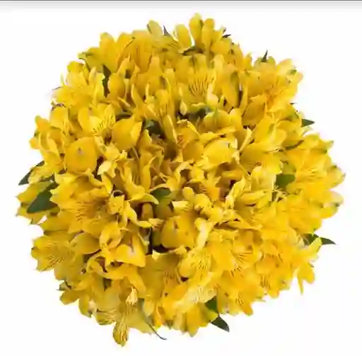 Ramo De Flores Alstroemeria Amarillas
