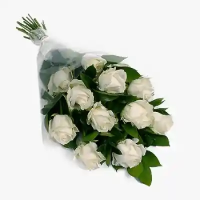 Ramode 12 Rosas Blancas Pureza