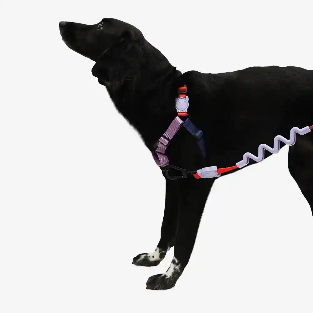 Arnés Para Perro Zee Dog Genie Soft-walk Medium