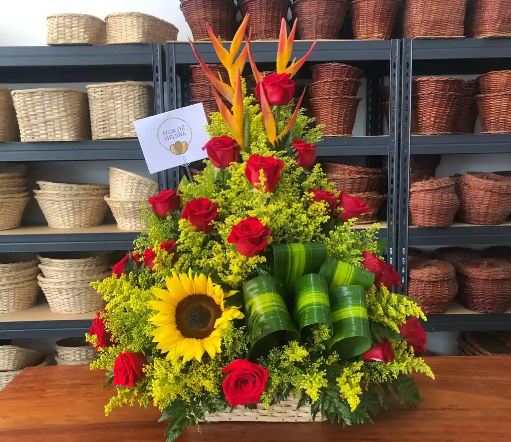 Tradicional Flor De Helena